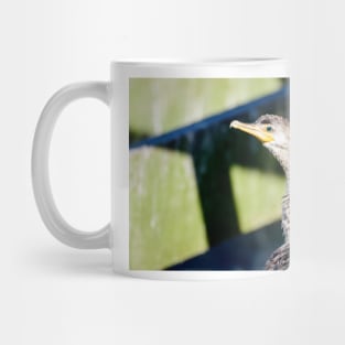 Juvenile Cormorant Profile Mug